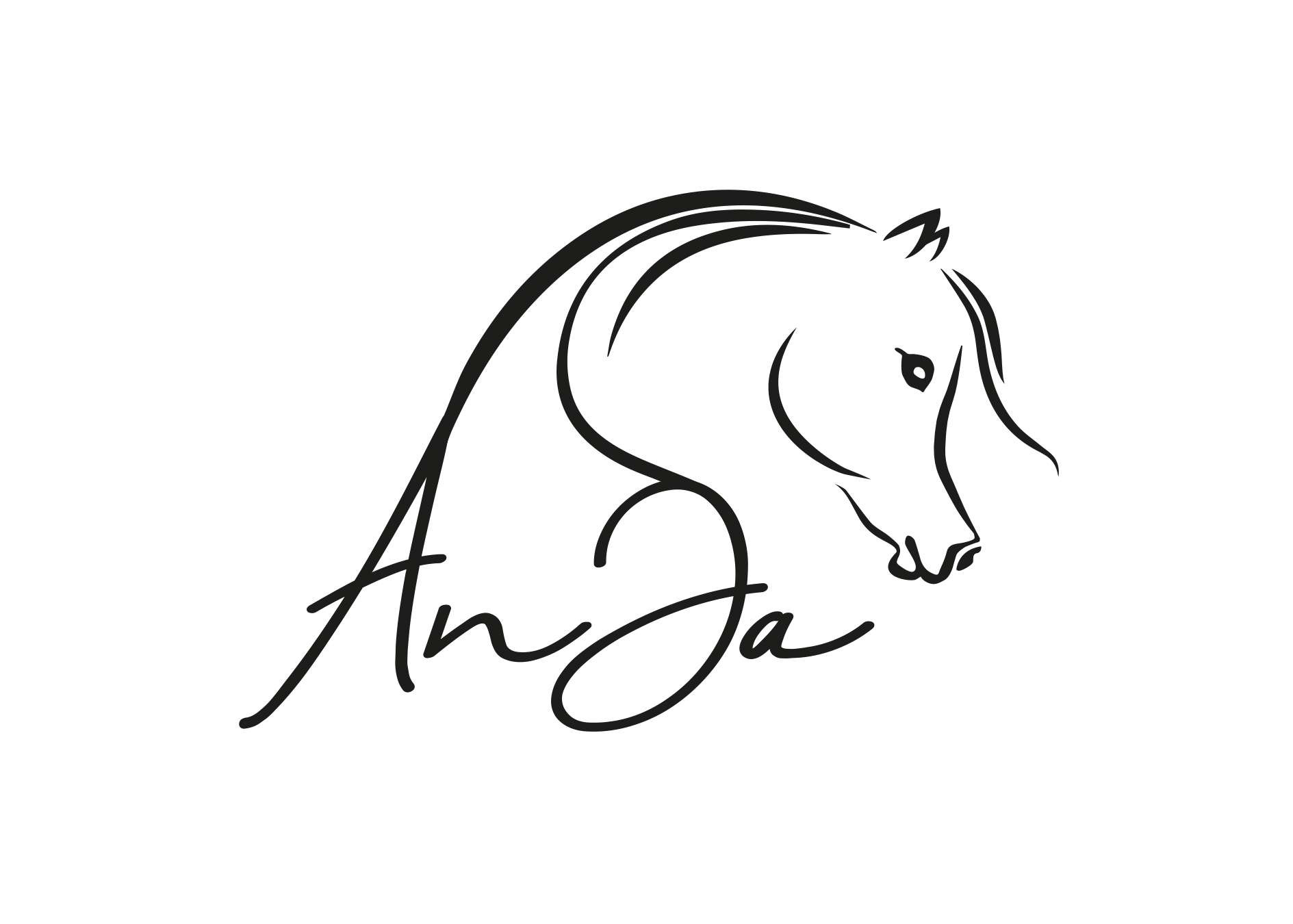 Projekt graficzny 2D