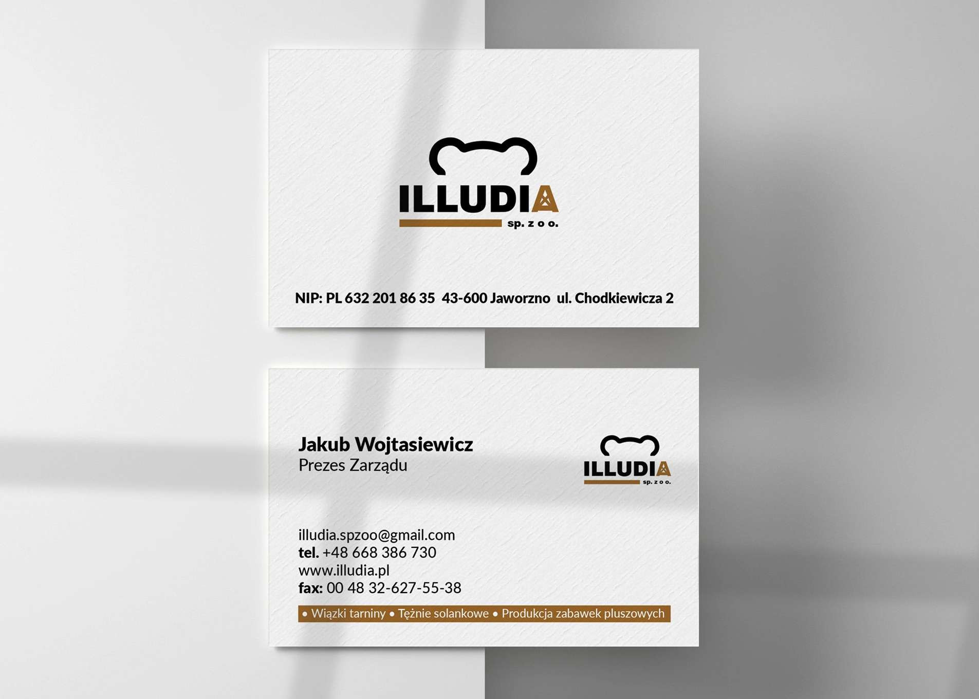 Projekt wizytówek i logo spółka z o.o. - UR Projekty